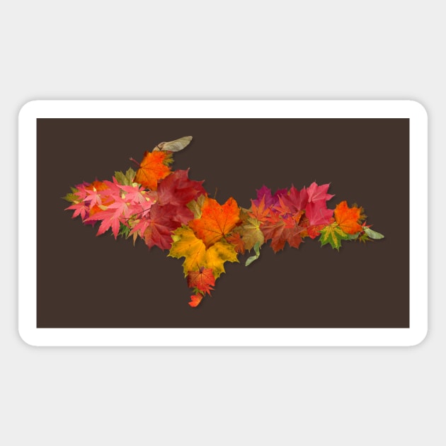 Upper Peninsula Maple Leaves Magnet by Jarrodjvandenberg